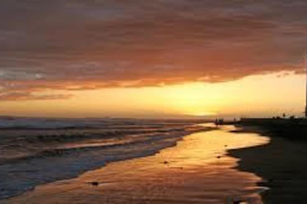 Green Oasis Maspalomas Garden 11 ภายนอก รูปภาพ