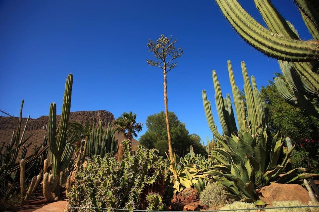 Green Oasis Maspalomas Garden 11 ภายนอก รูปภาพ